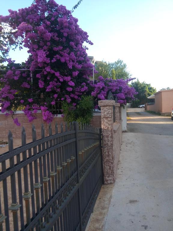 Apartments Vila A1 دوبرا فوفا المظهر الخارجي الصورة
