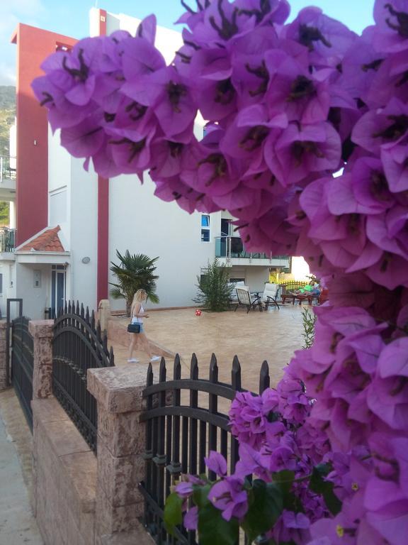 Apartments Vila A1 دوبرا فوفا المظهر الخارجي الصورة